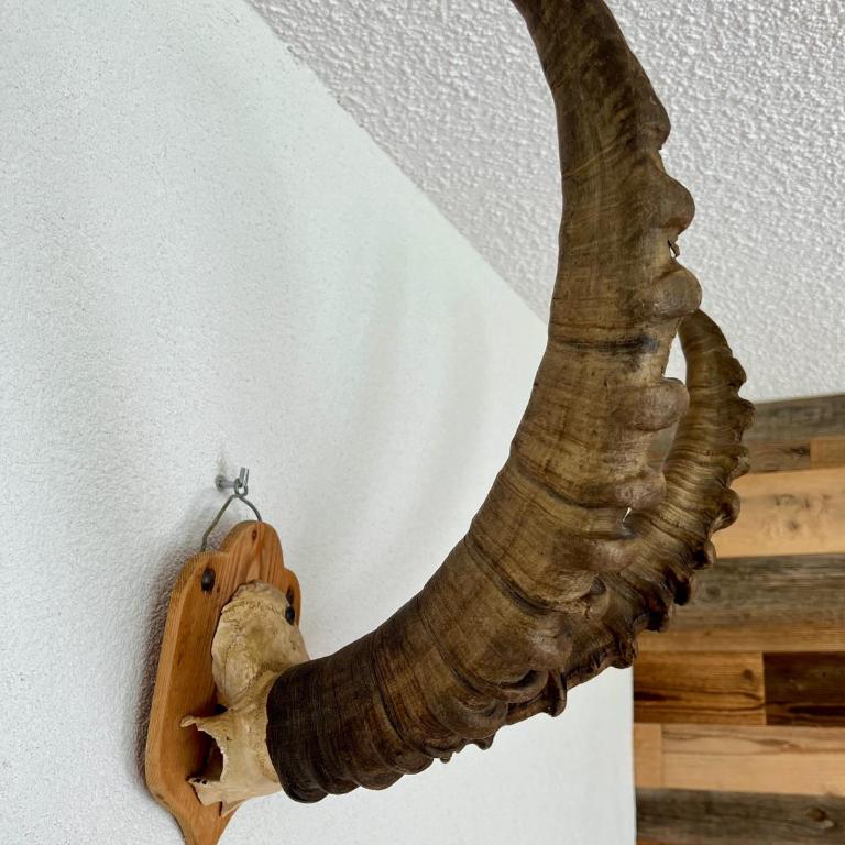Casa Capricorn - Apartment mit 2 Schlafzimmern - 22