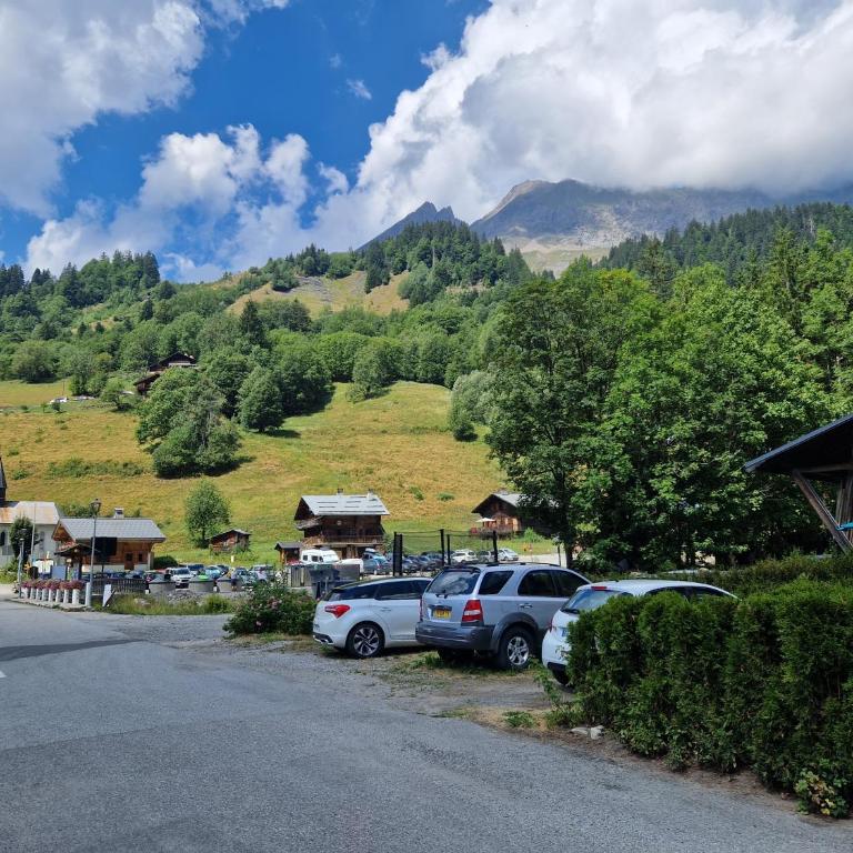 Appartement La Duchère Le Plan-la Giettaz massif des Aravis - Appartamento con 1 Camera da Letto - 26
