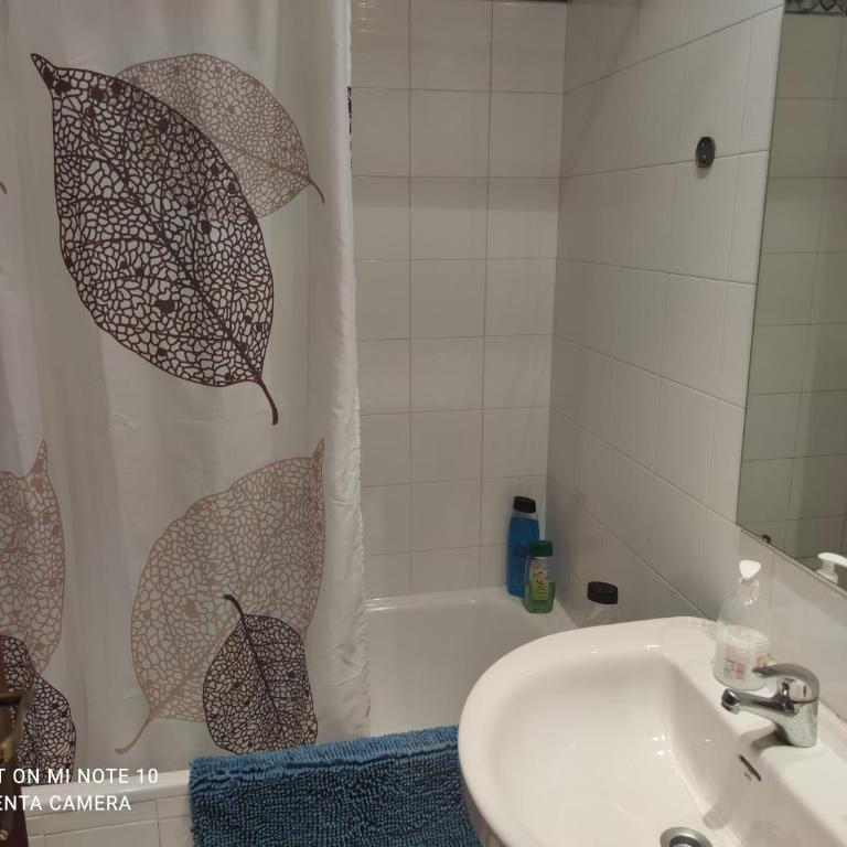Habitación MV - Single Room - 3