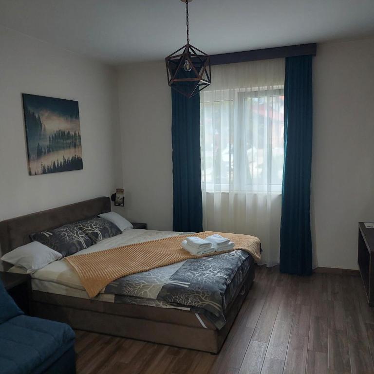 Apartmani Borova Iglica Divčibare - Deluks Dvokrevetna Soba sa Bračnim Krevetom/Zasebnim Krevetima i Pogledom na Planinu - 20