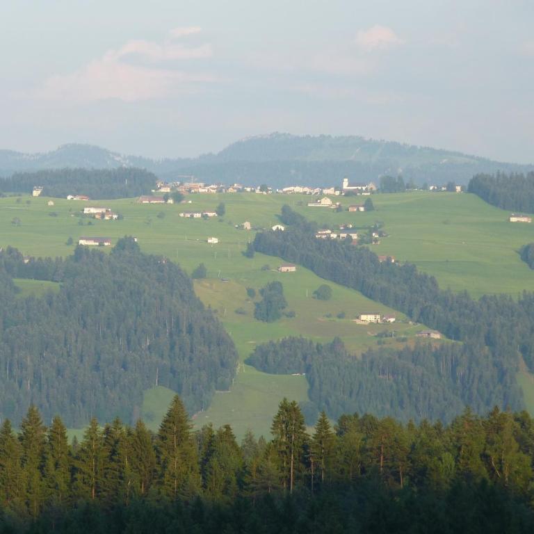 Ferienhof Reichart - Appartamento con Vista Montagna - 7