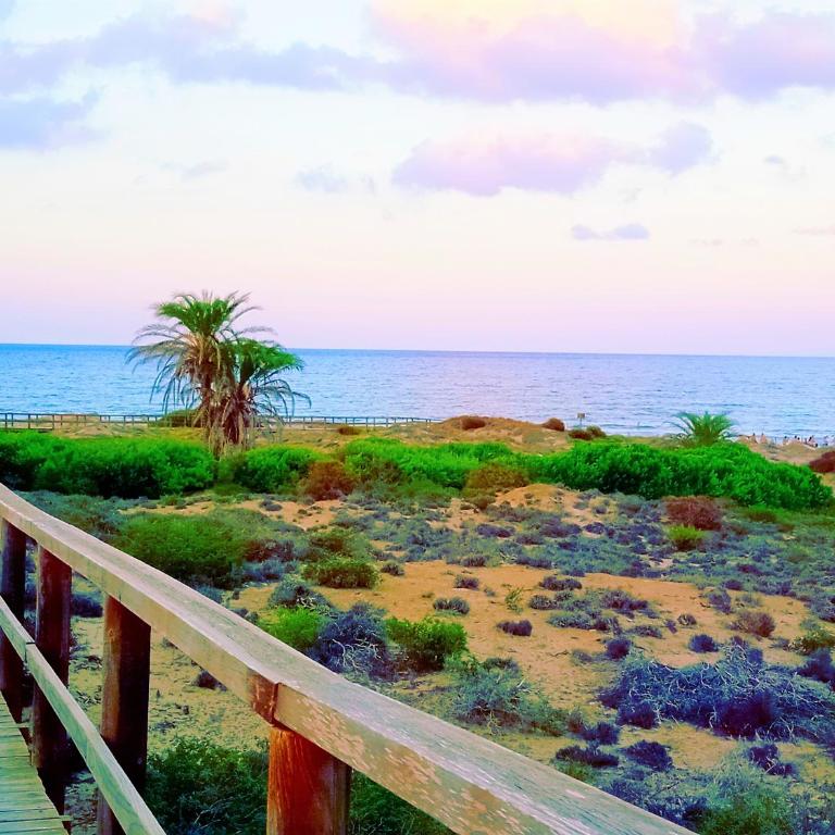 La Morada (Gran Alacant) - Two-Bedroom House - 35