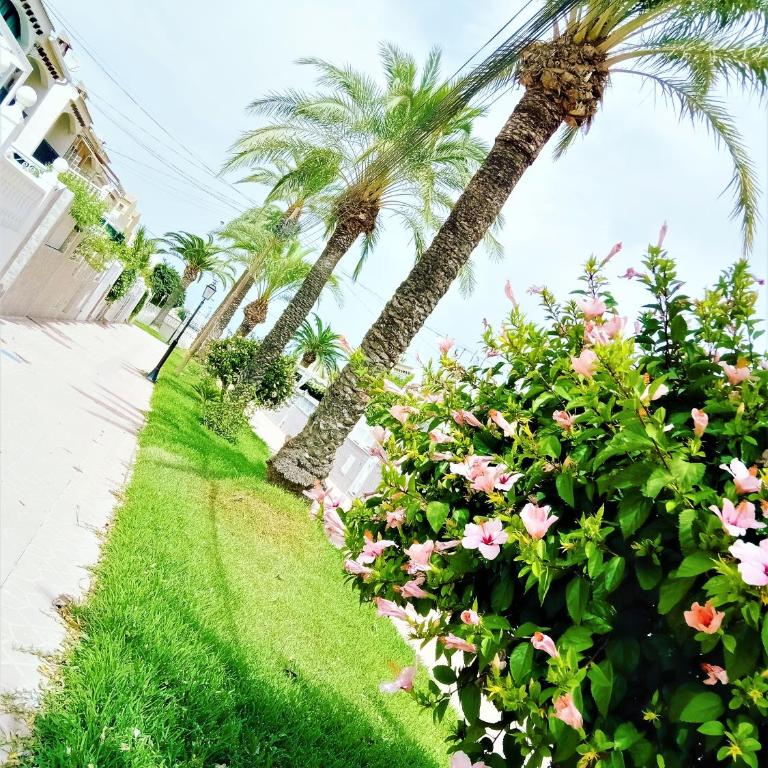 Casa Ilda (Gran Alacant) - Three-Bedroom House - 25