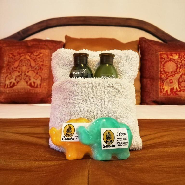 Ganesha Hotel - Standard Queen Room - 7