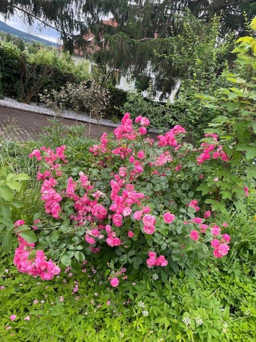 Freiblick 3 Bad Glbg mit Terrasse Top 3 - Appartement 1 Chambre - 8