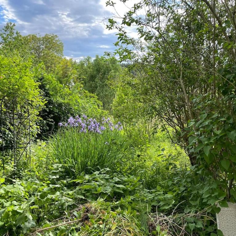 Freiblick 3 Bad Glbg mit Terrasse Top 3 - Appartement 1 Chambre - 10