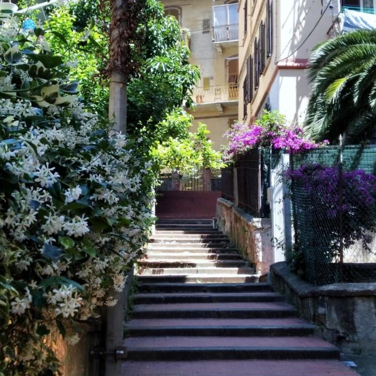 Scalinata Vernazza Little House - Monolocale - 12