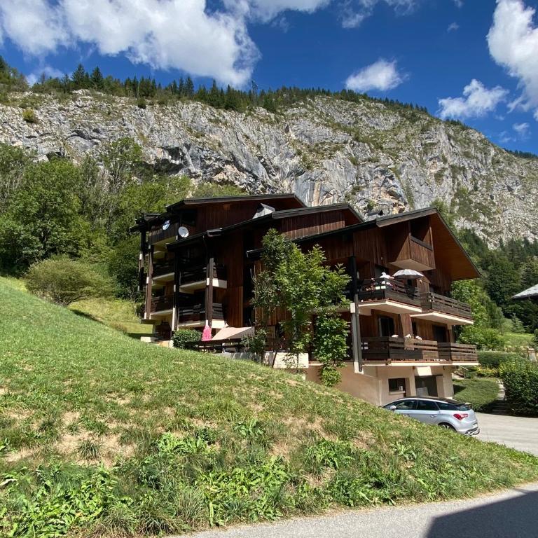 Studio rénové Portes du Soleil Chatel Abondance - Appartement 1 Chambre - 8