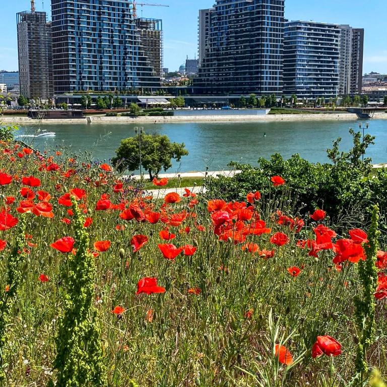 DOM Boutique Apartments - Park View - Apartman sa 1 Spavaćom Sobom - 66