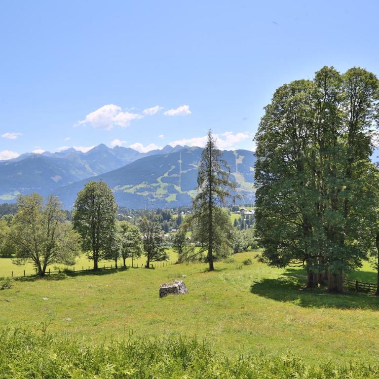 Pension Sonnwendhof - Chambre Double - Vue sur Montagne - 20
