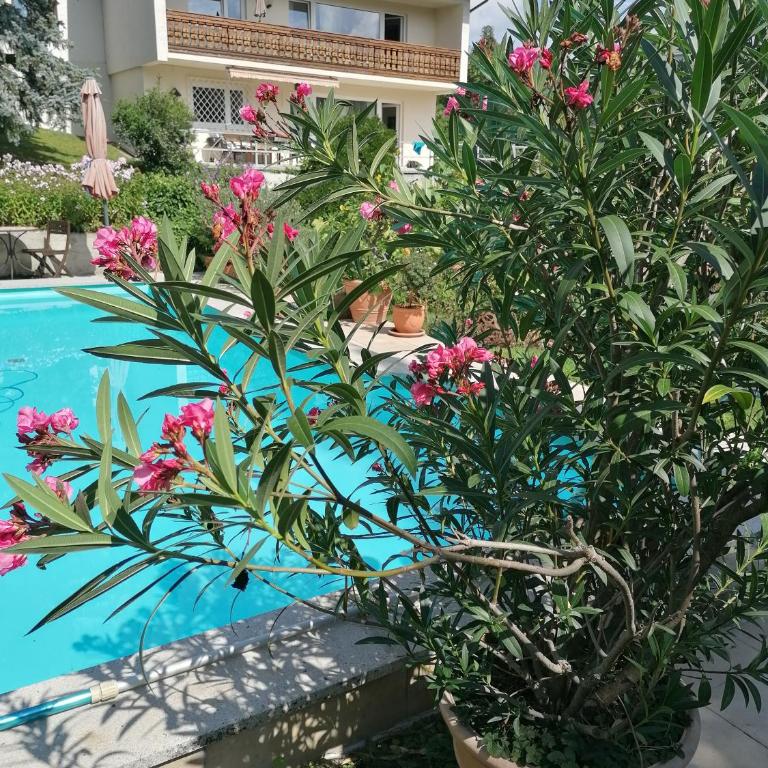 Four Seasons Apartment "GREEN PARADISE" - Apartment mit 2 Schlafzimmern - 54