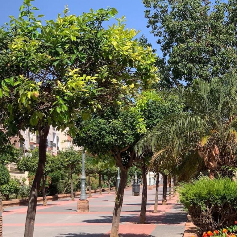 Excellent apartment in Nerja in local area - Apartamento de 2 dormitorios - 26