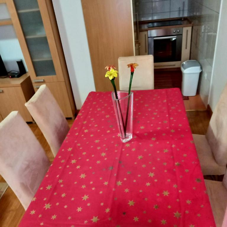 Apartman Jelena - Apartman sa 1 Spavaćom Sobom - 6