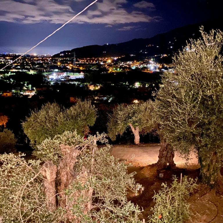Villa Patrizia Pietrasanta - Monolocale con Vista Mare - 20