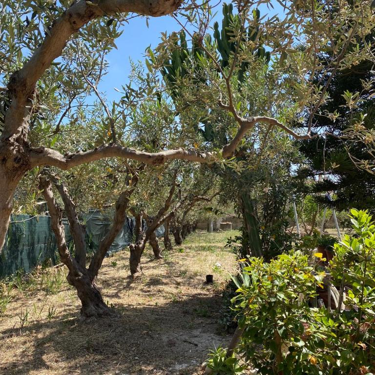 Villa Anna - Appartamento relax 3 minuti a piedi dalla spiaggia - Three-Bedroom Apartment - 30