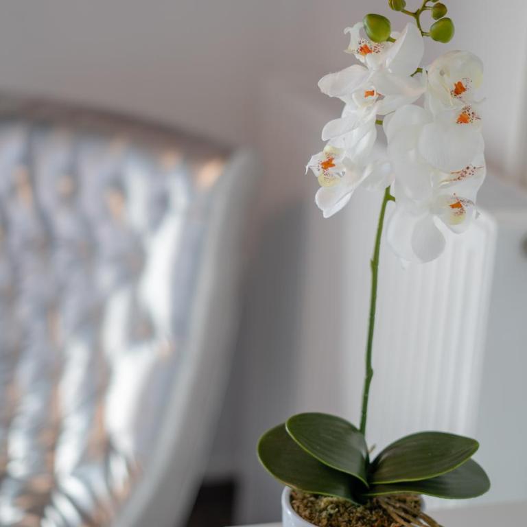 Rooms21 - Doppelzimmer mit Balkon - 8