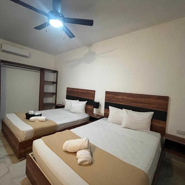 BALAM Playa - 15Th Ave - Suite Familiar - 16