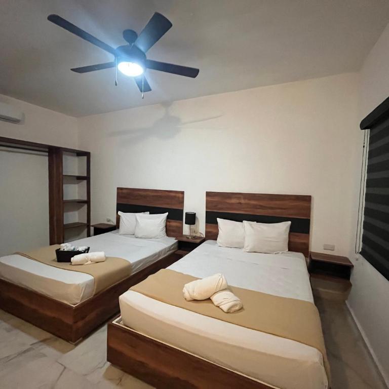 BALAM Playa - 15Th Ave - Suite Familiar - 4