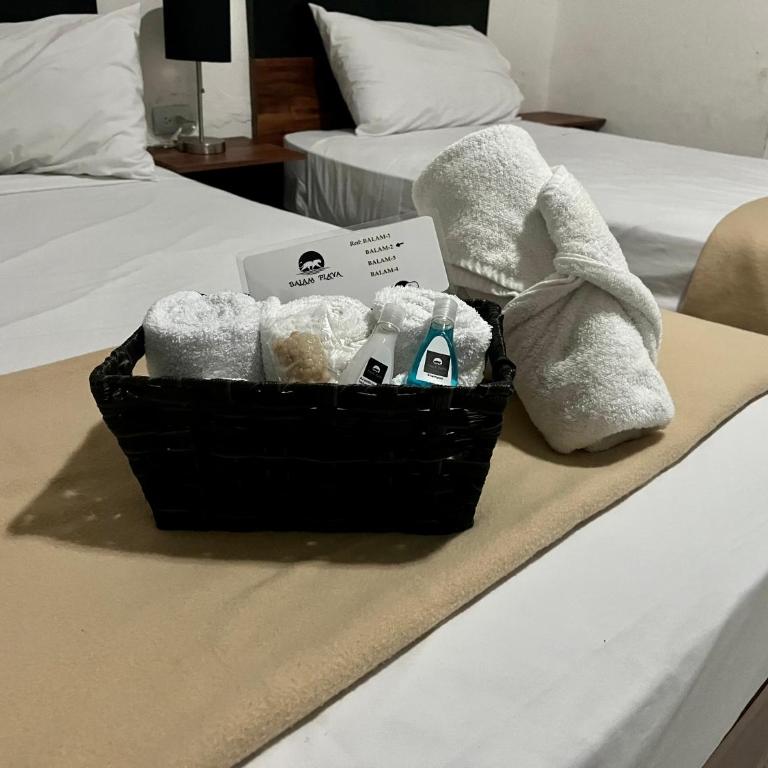 BALAM Playa - 15Th Ave - Suite Deluxe - 4