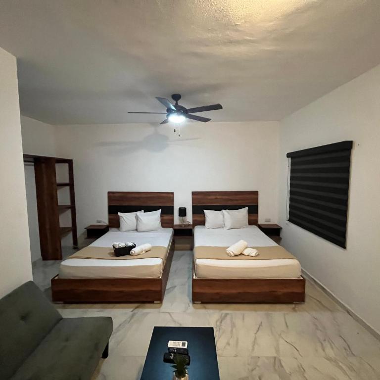 BALAM Playa - 15Th Ave - Suite Familiar - 7