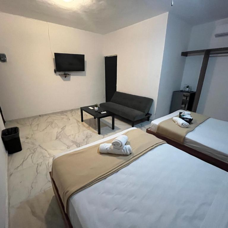 BALAM Playa - 15Th Ave - Suite Familiar - 14