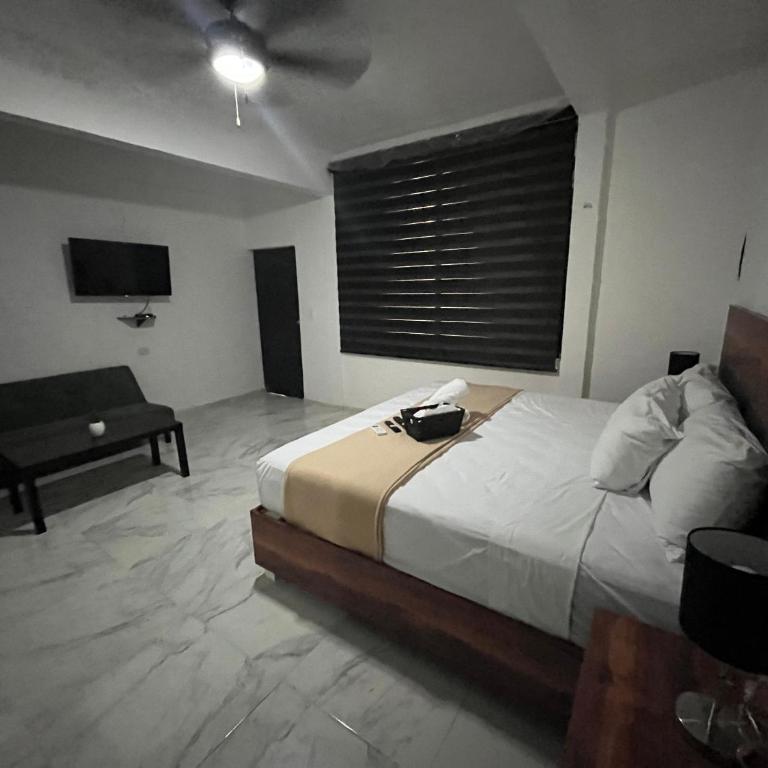 BALAM Playa - 15Th Ave - Estudio con cama extragrande y sofá cama - 1