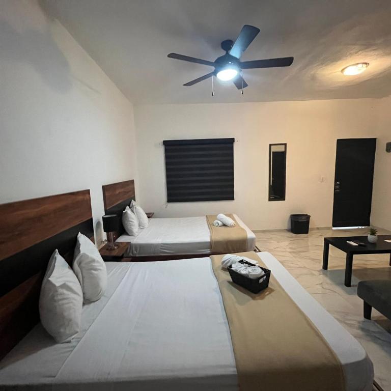 BALAM Playa - 15Th Ave - Suite Familiar - 10