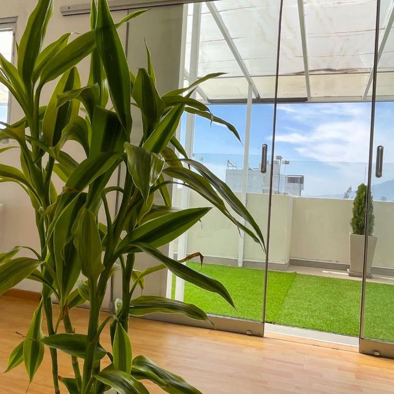 Furnished Aparments Arequipa - Apartment with Terrace - 6