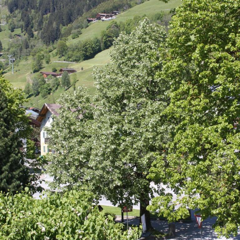 Haus Hofer - Apartment mit 2 Schlafzimmern und Balkon - 26