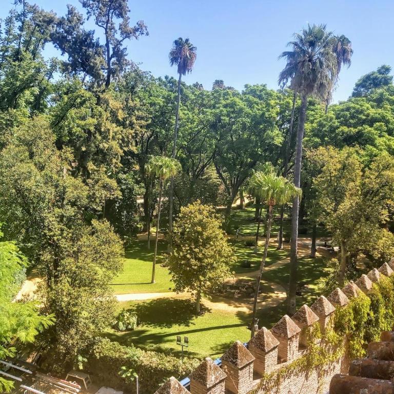 Miisterhost La Casa de San Fernando con vistas a los Reales Alcázares - Apartamento - 19