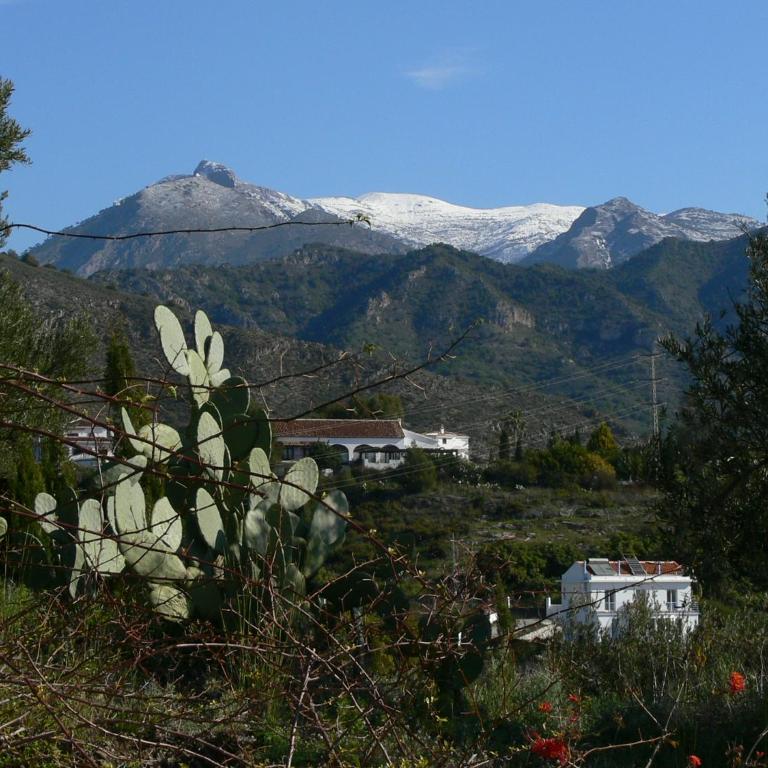 Finca Guay - Casa de 3 dormitorios - 53