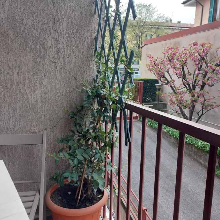 Pitentino Quattro Apartment - Appartamento con 2 Camere da Letto - 20