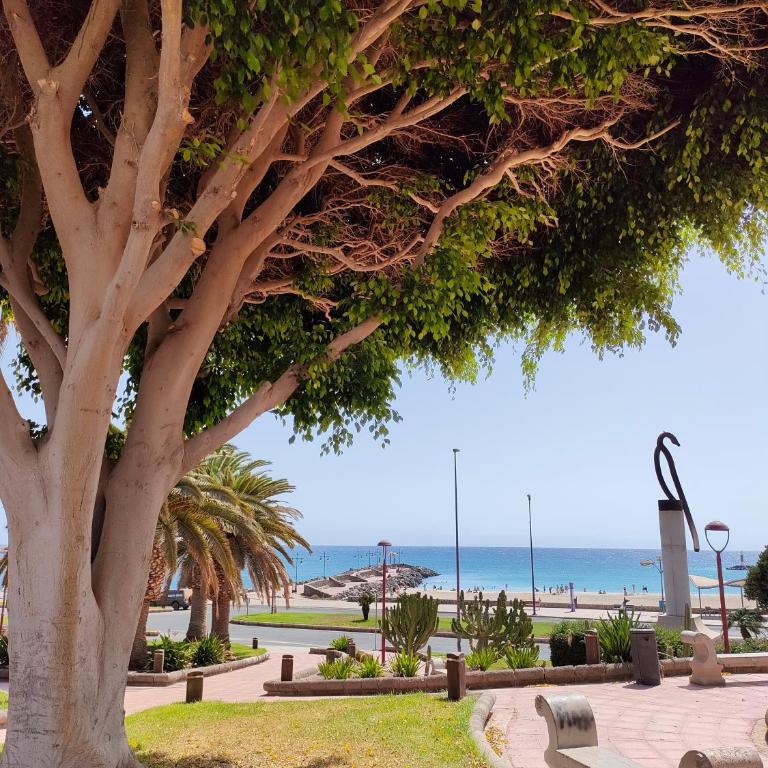 Casa Alba 1 - Apartamento de 1 dormitorio - 36