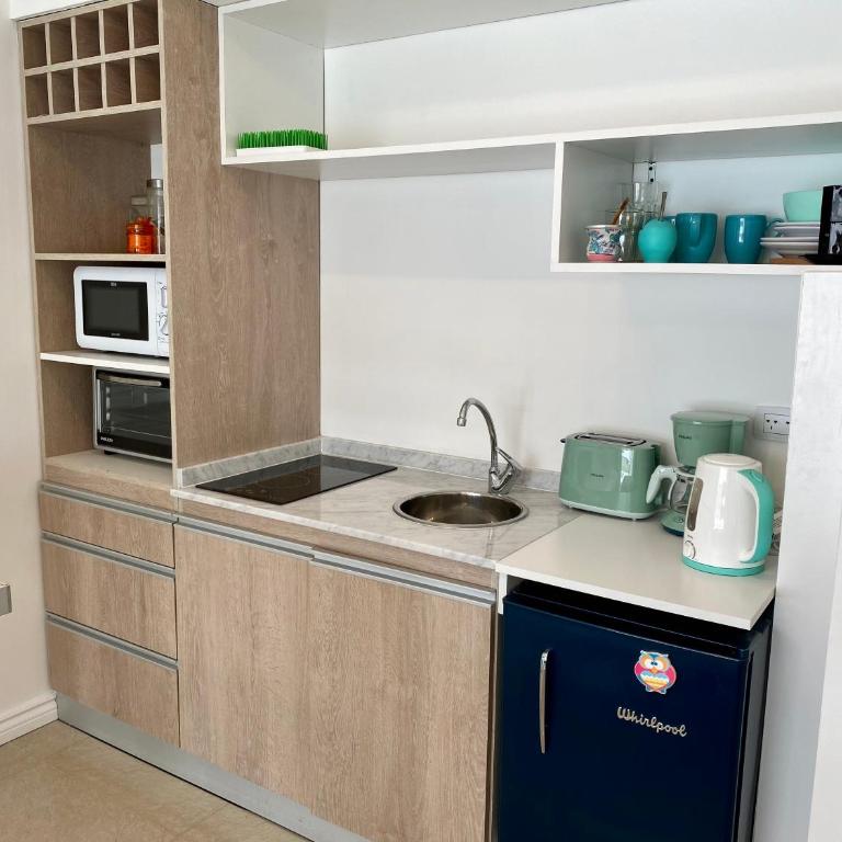 AIRES DEL SUR - Estudio con 1 cama grande - 14