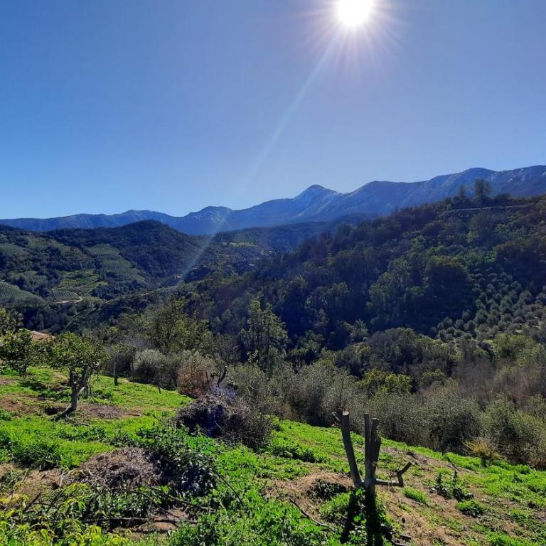 Parcela Paso del León (Cabañas) - Chalet de 2 dormitorios - 13