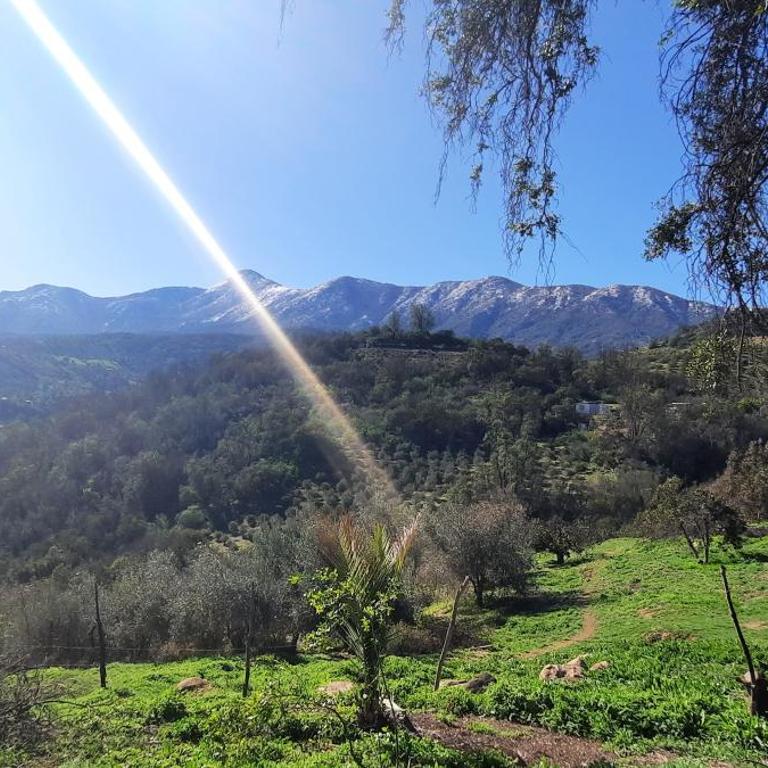 Parcela Paso del León (Cabañas) - Chalet Superior - 10