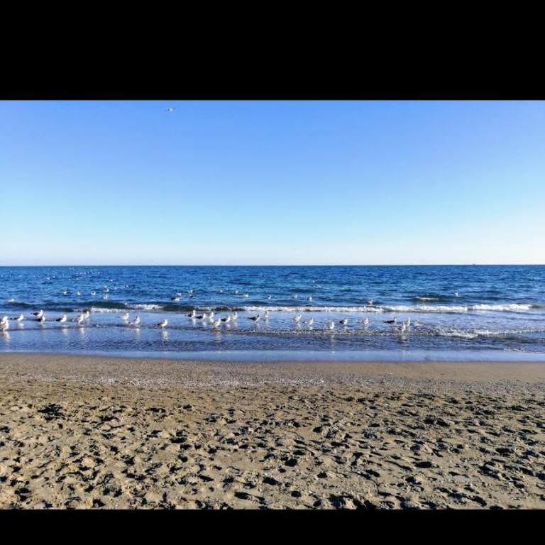 Apartamento Playa Maria con parking - Appartamento con 1 Camera da Letto - 16