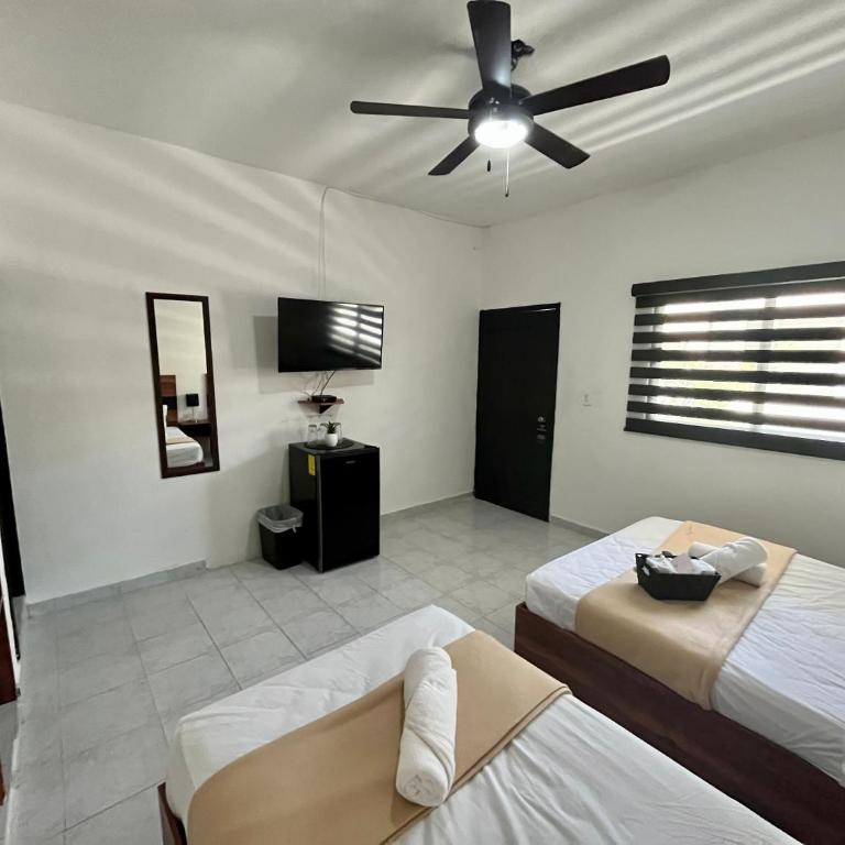 BALAM Playa - 15Th Ave - Suite Deluxe - 15
