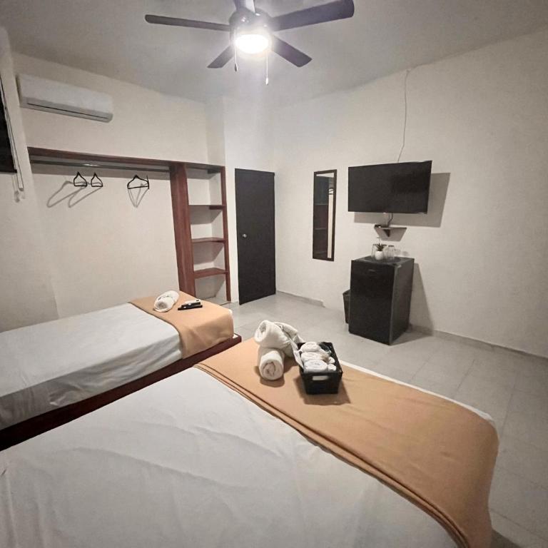 BALAM Playa - 15Th Ave - Suite Deluxe - 8