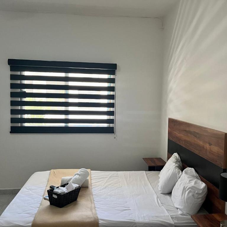 BALAM Playa - 15Th Ave - Suite Deluxe - 5