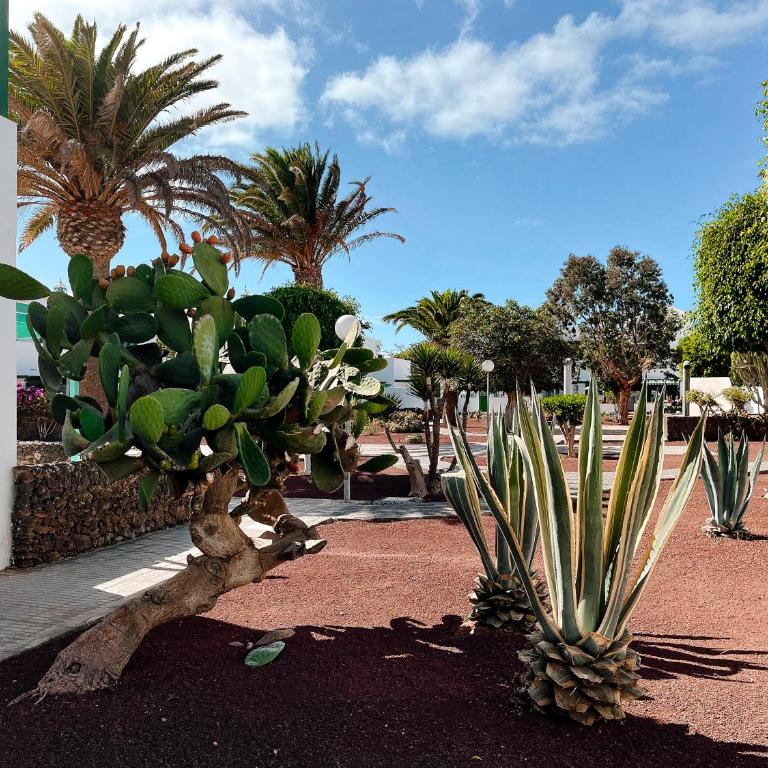 Apartamento Maëlle Playa Blanca - Apartamento de 2 dormitorios - 40