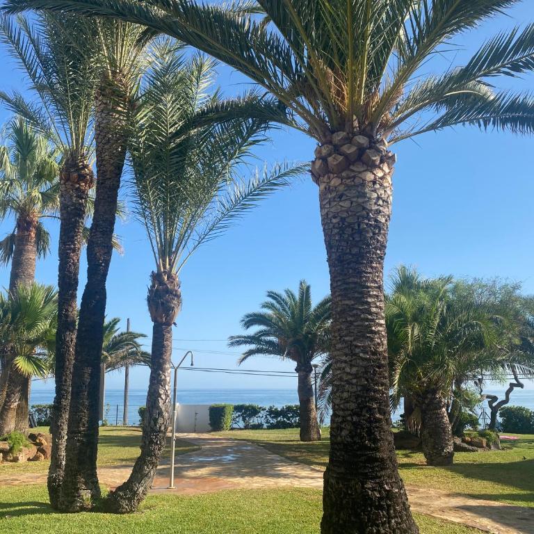 Primera línea de playa Julio y agosto, mínimo 7 días, de lunes a lunes - One-Bedroom Apartment - 21