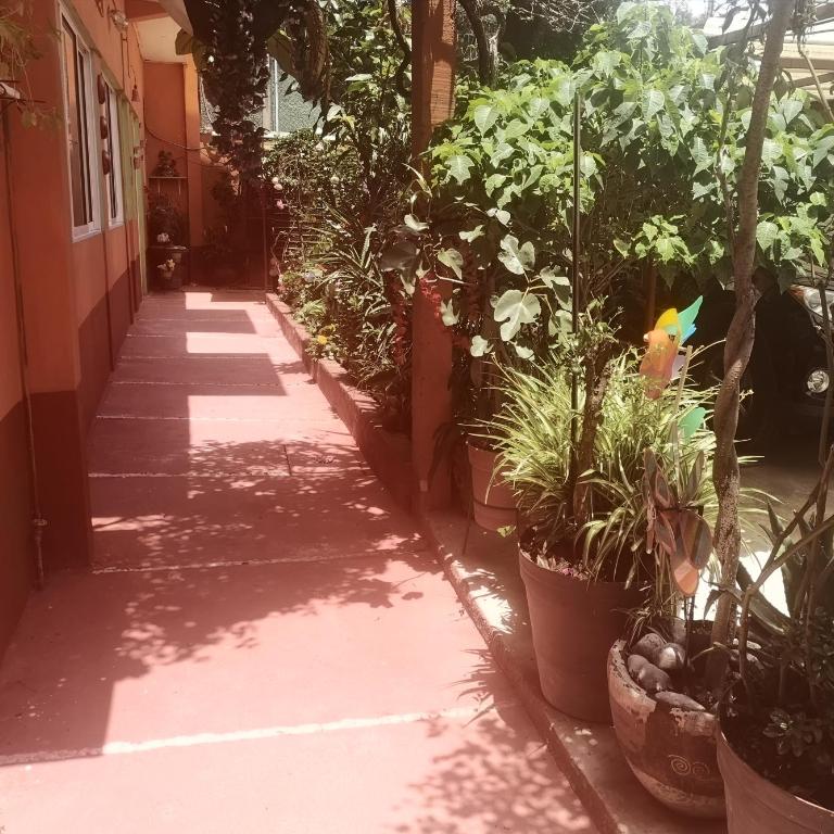 Depa 1 habitación equipado coyoacan - Apartamento de 1 dormitorio - 26