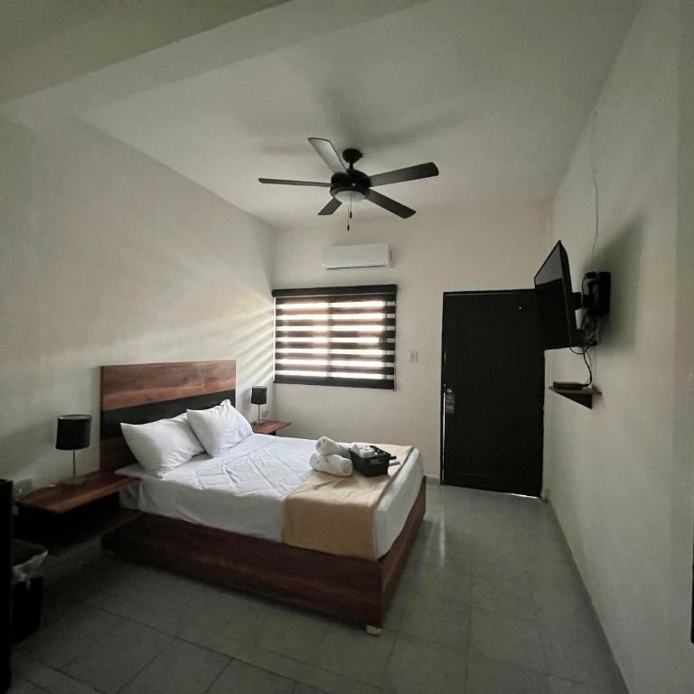 BALAM Playa - 15Th Ave - Suite con cama grande - 4