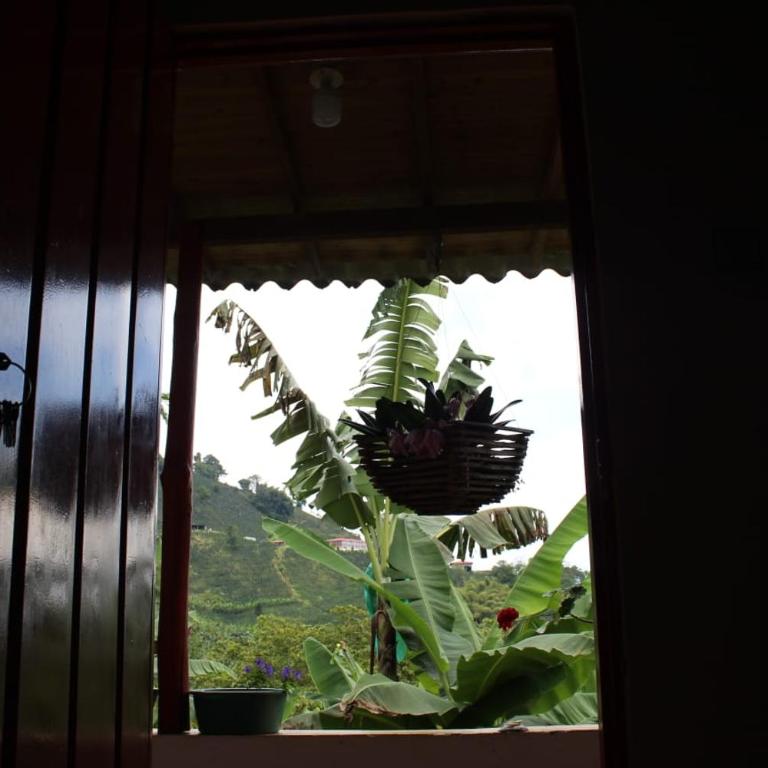 Caficultur -Alojamiento Rural - Family Room - 2