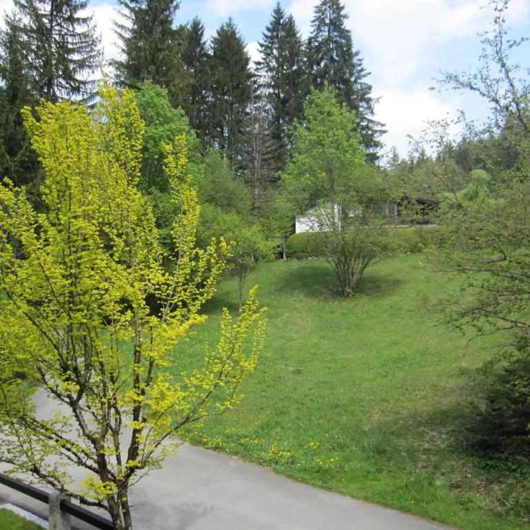 Ferienhaus Heimhof - Superior Apartment mit 1 Schlafzimmer und Gartenblick - 1