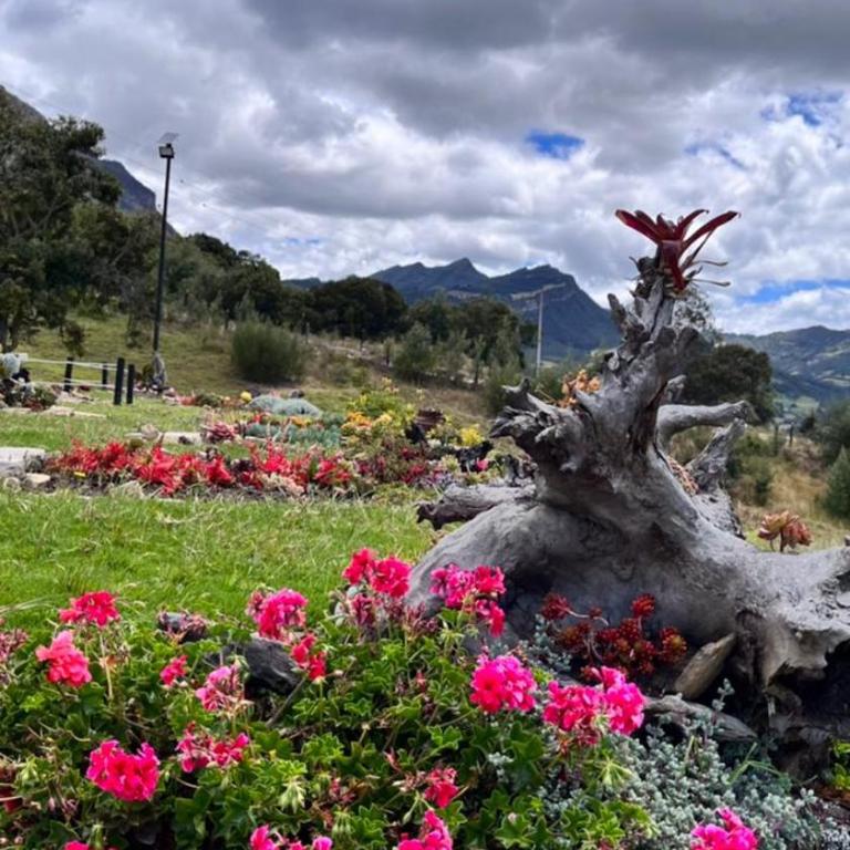Peñavista. - Villa de 2 dormitorios - 16