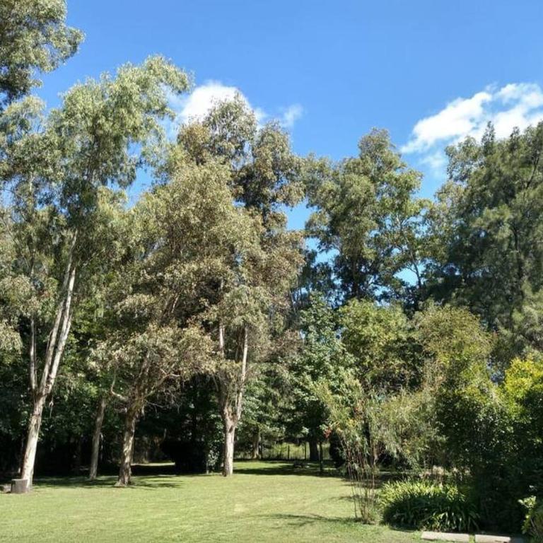 Quinta - Casa de Campo - Casa de 3 dormitorios - 75