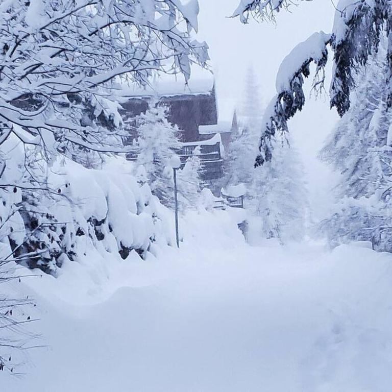 Chalet Dakota, Pied des pistes, 15 pers, La Plagne - Chalet - 46