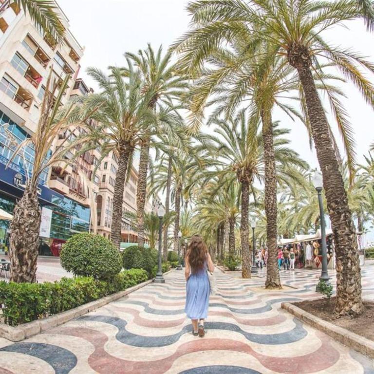 Alicante City Center Apartment - One-Bedroom Apartment - 23